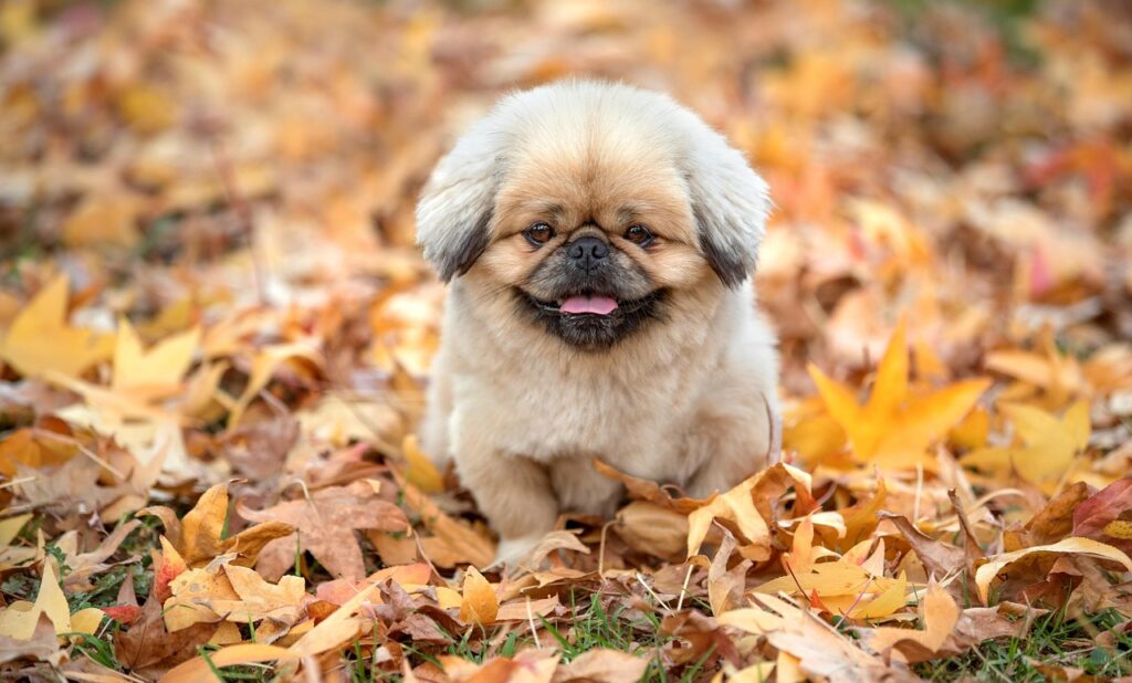 時短ダイエットに効果的なサプリは男性におすすめですか？