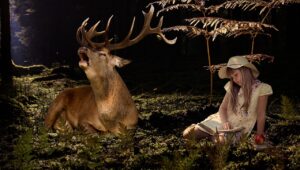 飲むだけでダイエットをサポートするサプリの効果は？