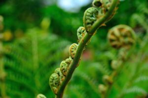 30代男性におすすめのトマトジュース食塩無添加の選び方は？